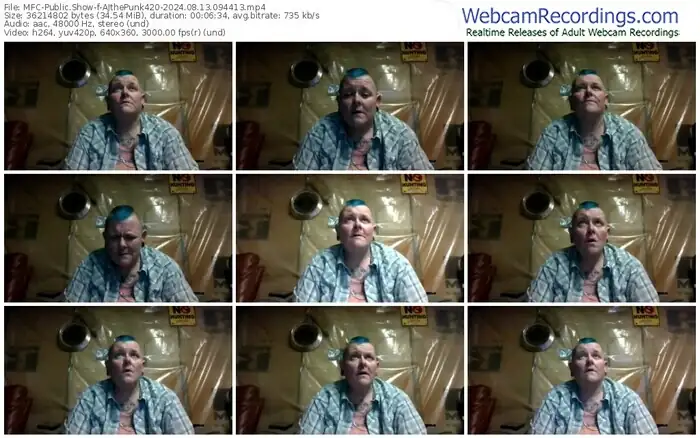 myfreecams-ajthepunk420-08-13-2024-09-44-13