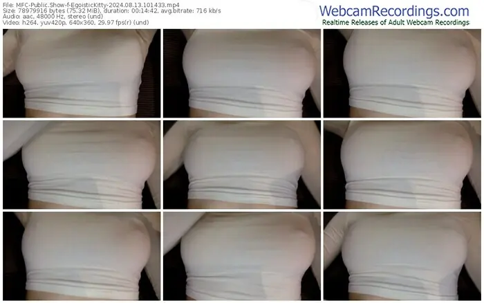 myfreecams-egoistickitty-08-13-2024-10-14-33