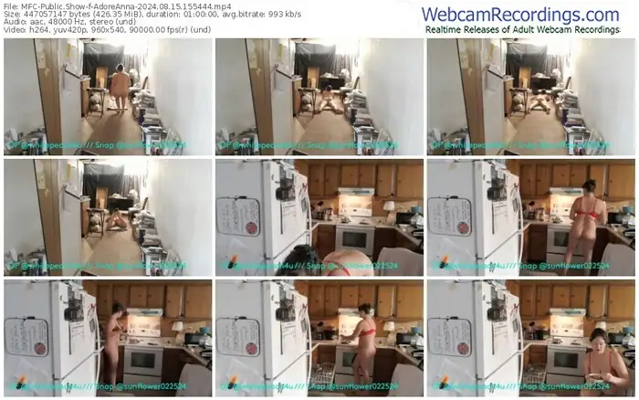 myfreecams-adoreanna-08-15-2024-15-54-44