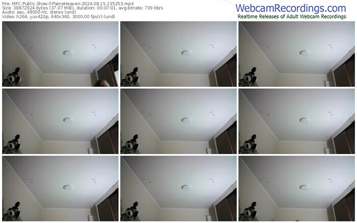 myfreecams-pameheaven-08-15-2024-13-52-53