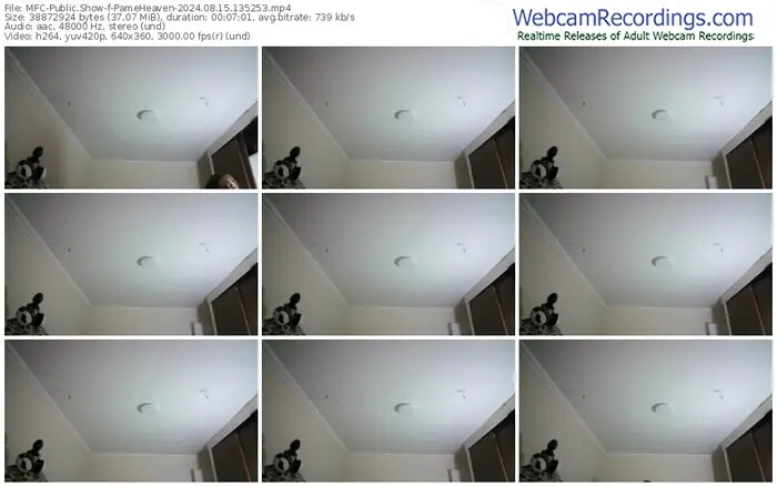 myfreecams-pameheaven-08-15-2024-13-52-53