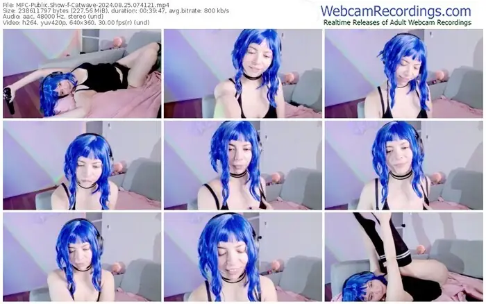 myfreecams-catwave-08-25-2024-07-41-21