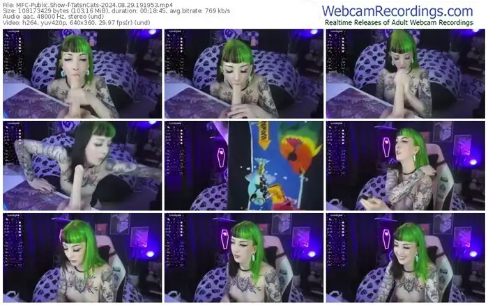 myfreecams-tatsncats-08-29-2024-19-19-53
