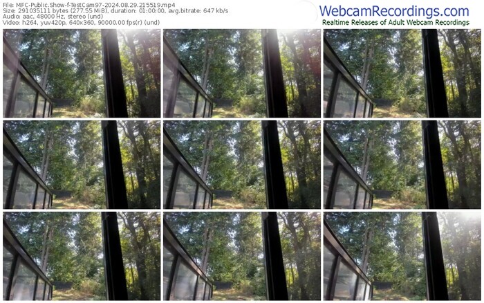 myfreecams-testcam97-08-29-2024-21-55-19