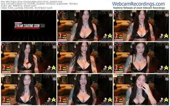 myfreecams-nintend0pe-08-31-2024-23-46-33