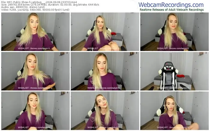 myfreecams-ladybug___-09-08-2024-23-37-03