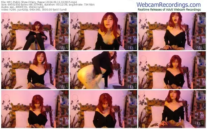 myfreecams-fairy_rawwr-09-11-2024-02-29-15