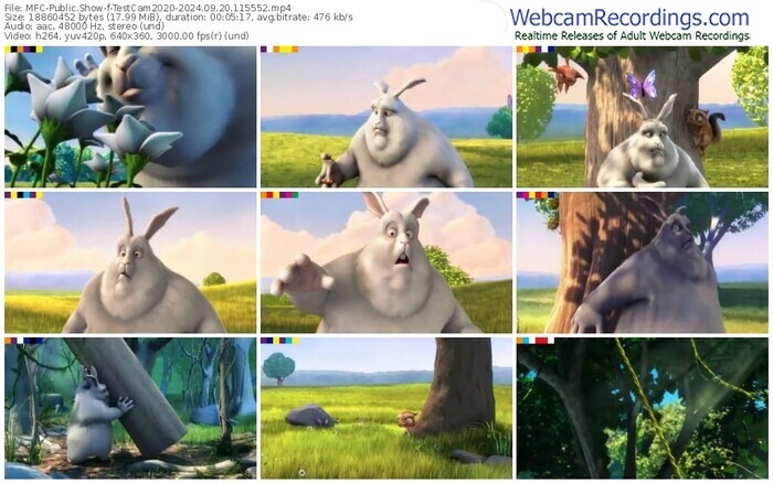 myfreecams-testcam2020-09-20-2024-11-55-52
