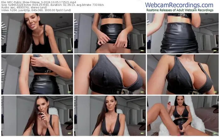 myfreecams-meow_s-10-05-2024-17-25-21