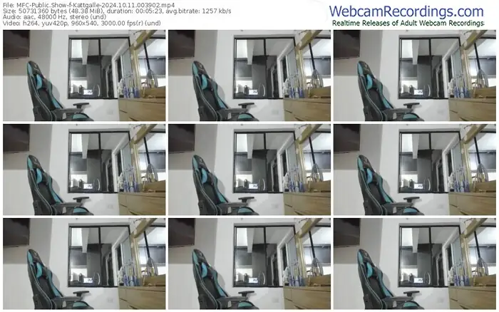 myfreecams-kattgalle-10-11-2024-00-39-02