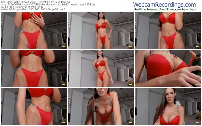 myfreecams-meow_s-10-17-2024-14-19-49