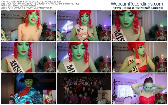 myfreecams-emmel1ne-11-01-2024-02-04-25