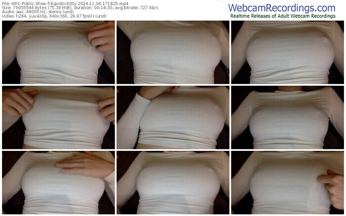 myfreecams-egoistickitty-11-04-2024-17-18-25