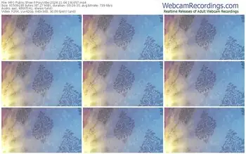 myfreecams-poxyvibe-11-04-2024-19-16-57