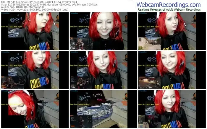 myfreecams-princessbluu-11-04-2024-17-38-59