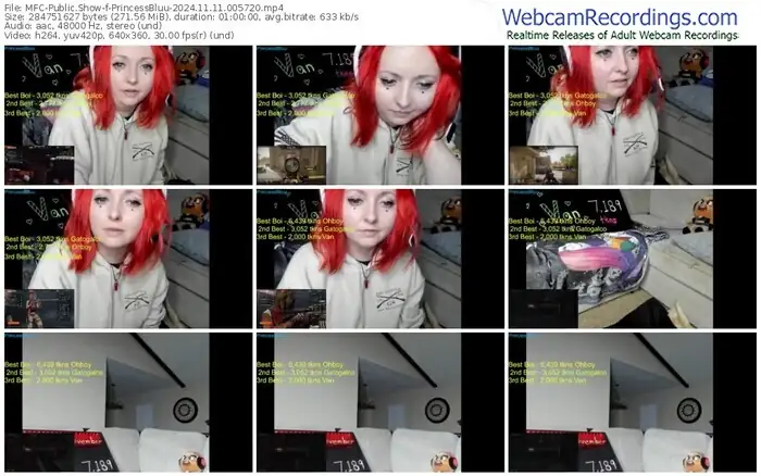 myfreecams-princessbluu-11-11-2024-00-57-20