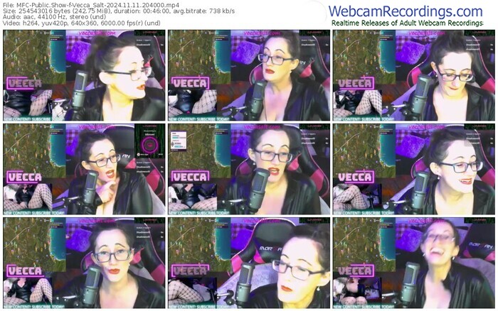 myfreecams-vecca_salt-11-11-2024-20-40-00