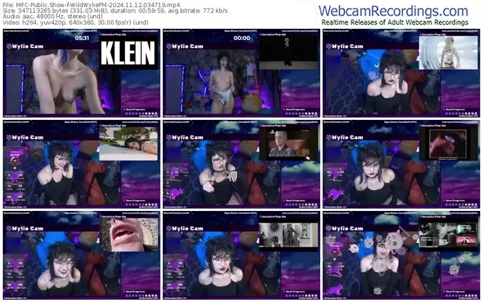 myfreecams-wildwyliepm-11-12-2024-03-47-19