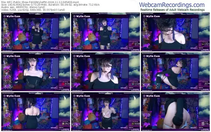 myfreecams-wildwyliepm-11-12-2024-04-54-06