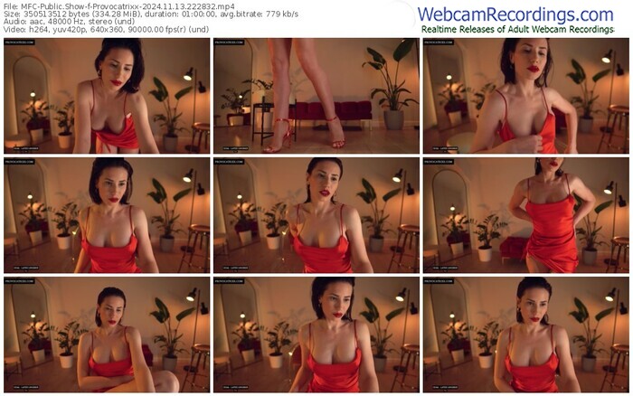 myfreecams-provocatrixx-11-13-2024-22-28-32