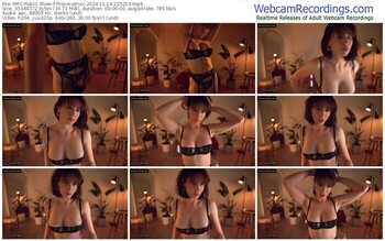 myfreecams-provocatrixx-11-14-2024-22-52-13