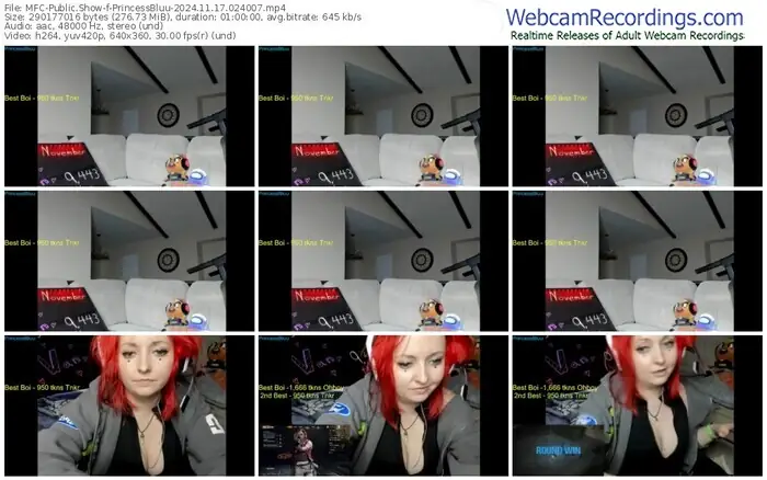 myfreecams-princessbluu-11-17-2024-02-40-07