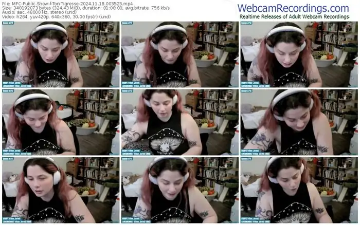 myfreecams-tonitigresse-11-18-2024-00-35-23