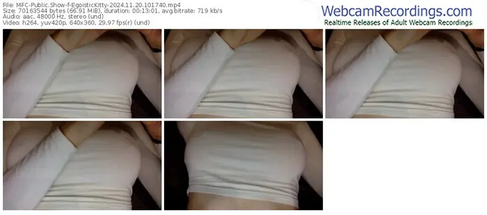 myfreecams-egoistickitty-11-20-2024-10-17-40