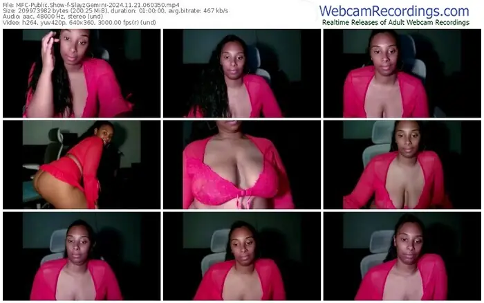 myfreecams-slayzgemini-11-21-2024-06-03-50