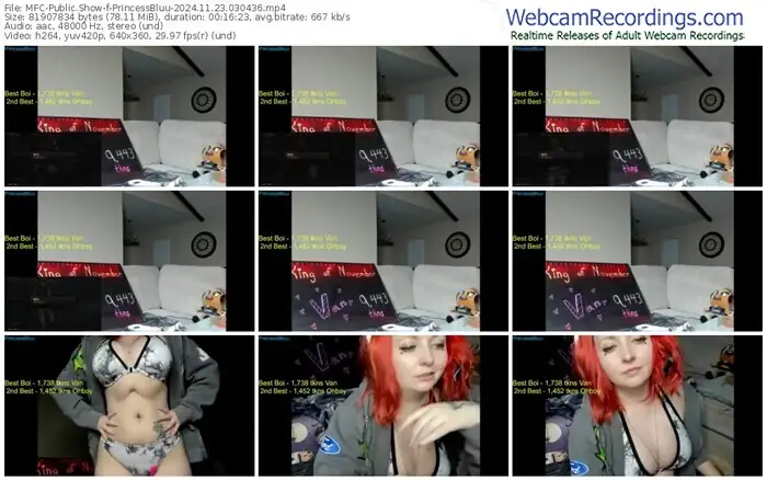 myfreecams-princessbluu-11-23-2024-03-04-36