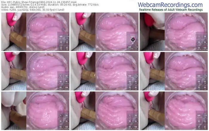 myfreecams-danigirl866-11-24-2024-23-04-57