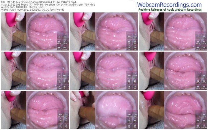 myfreecams-danigirl866-11-24-2024-23-46-39