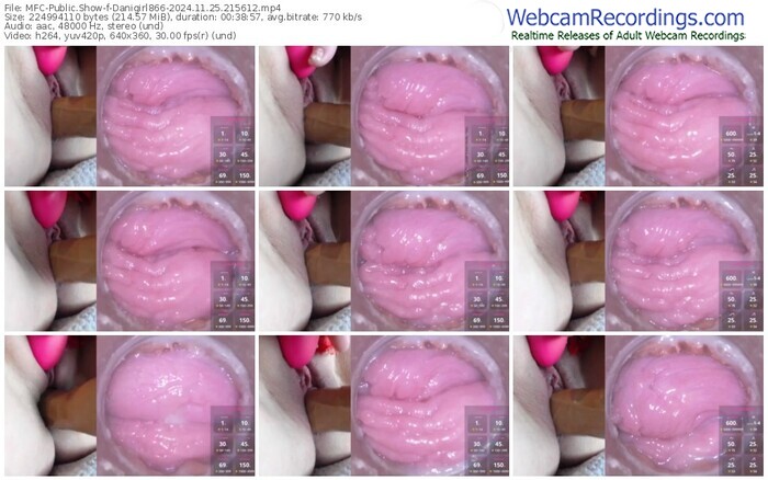 myfreecams-danigirl866-11-25-2024-21-56-12