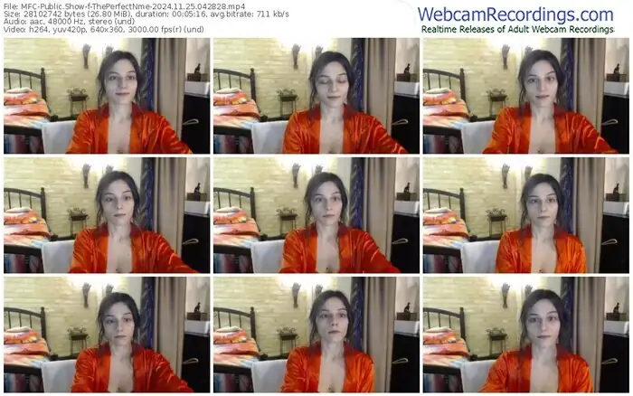 myfreecams-theperfectnme-11-25-2024-04-28-28