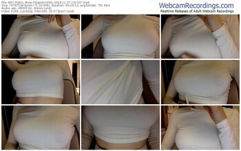 myfreecams-egoistickitty-11-27-2024-13-13-37