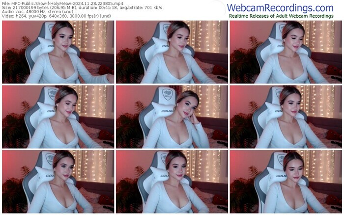 myfreecams-holymeow-11-28-2024-22-38-05