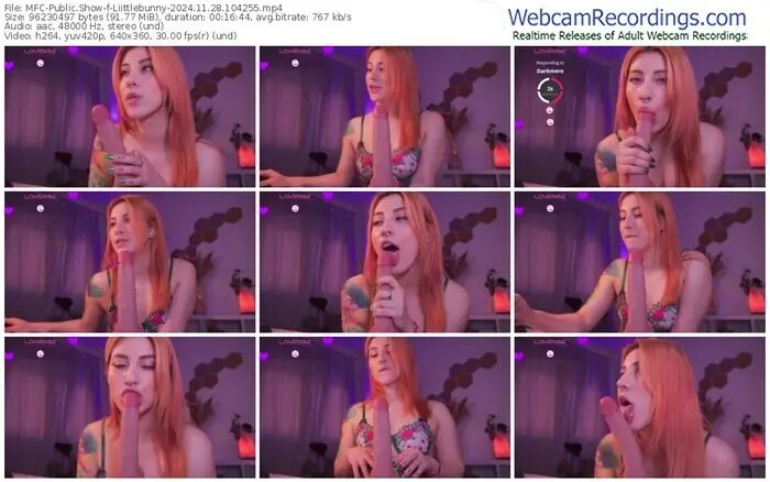 myfreecams-liittlebunny-11-28-2024-10-42-55