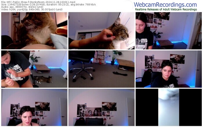 myfreecams-stonksroom-11-28-2024-16-00-11