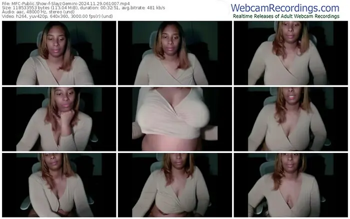 myfreecams-slayzgemini-11-29-2024-06-10-07