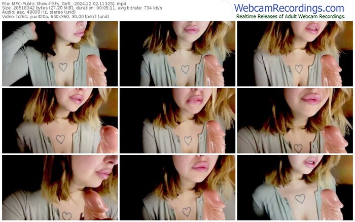 myfreecams-shy_girll_-12-02-2024-11-32-51