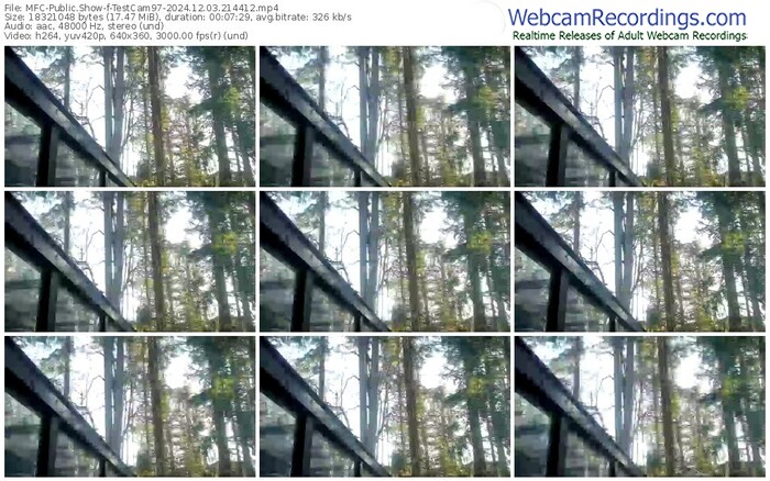 myfreecams-testcam97-12-03-2024-21-44-12