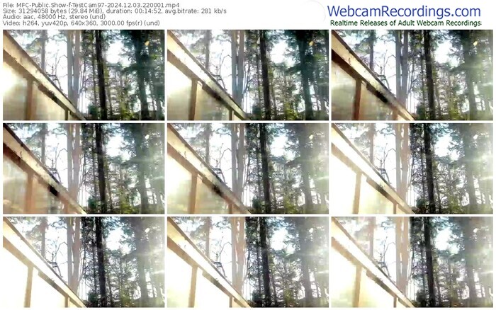 myfreecams-testcam97-12-03-2024-22-00-01