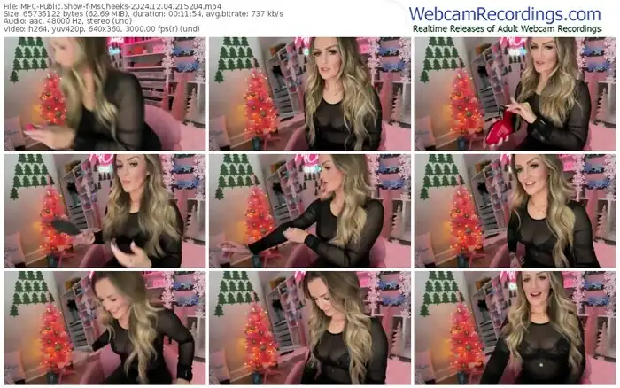 myfreecams-mscheeks-12-04-2024-21-52-04