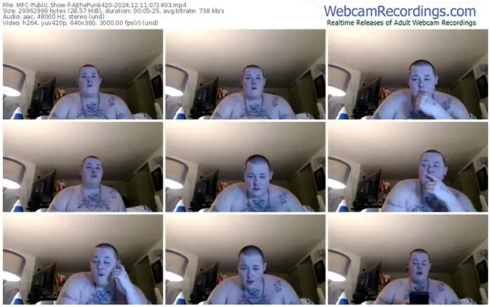 myfreecams-ajthepunk420-12-11-2024-07-14-03