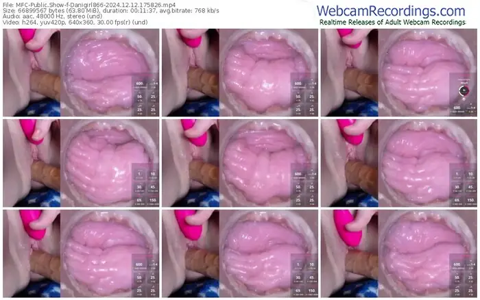 myfreecams-danigirl866-12-12-2024-17-58-26