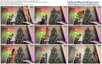 myfreecams-goldenkittee-12-13-2024-09-18-13