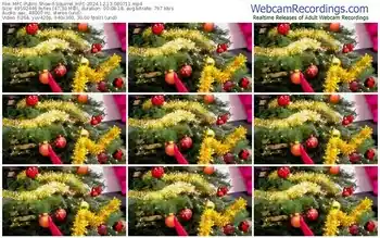 myfreecams-squirrel_mfc-12-13-2024-08-07-11