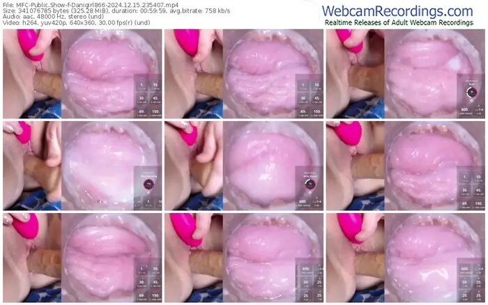 myfreecams-danigirl866-12-15-2024-23-54-07