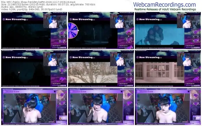 myfreecams-wildwyliepm-12-17-2024-05-31-24