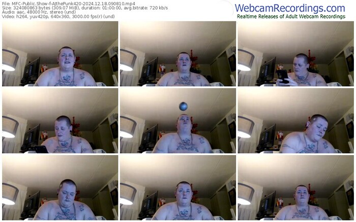 myfreecams-ajthepunk420-12-18-2024-09-08-10